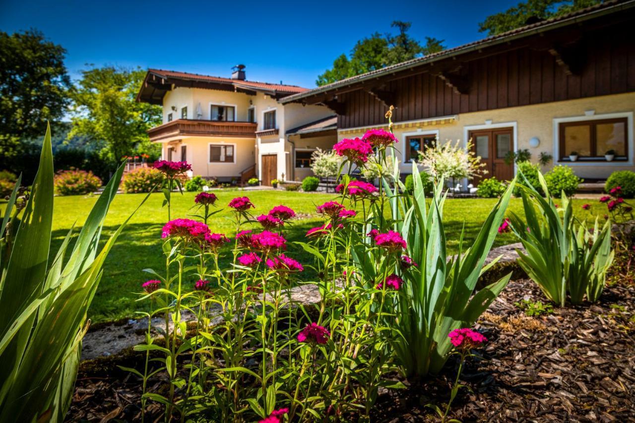 Ferienwohnung Wallmerhof Am Laendlichen Wimberg Adnet Exteriör bild