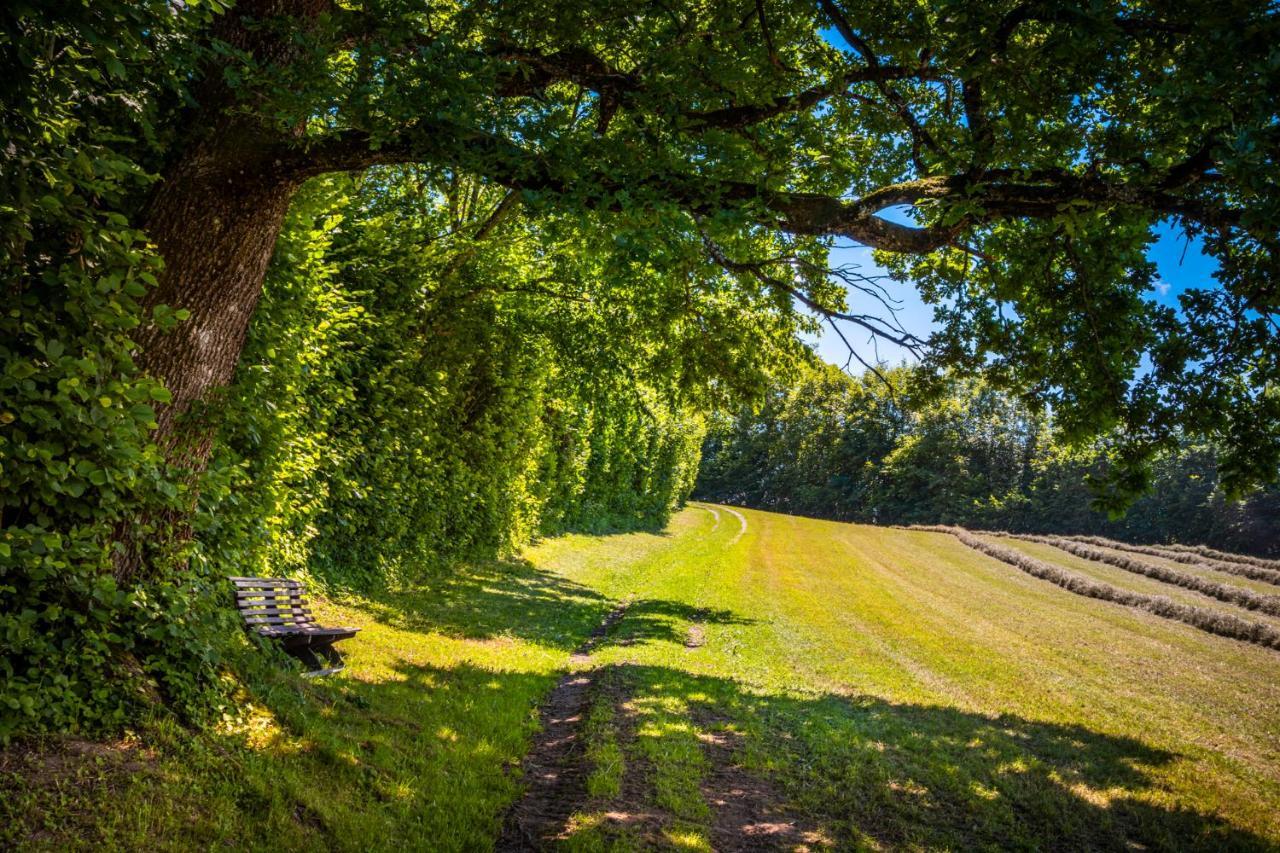 Ferienwohnung Wallmerhof Am Laendlichen Wimberg Adnet Exteriör bild